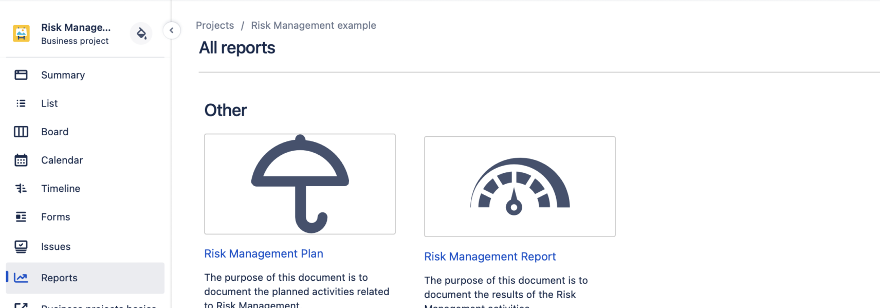 Jira-reports-on-RM